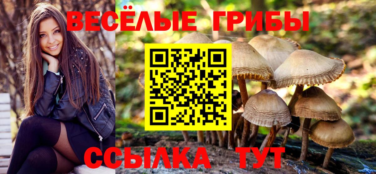 Строитель  Псилоцибиновые грибы мицелий  купить наркотик  Вход с VPN 
