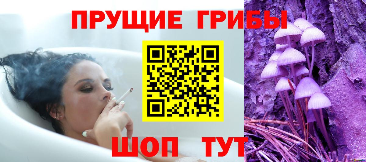 Псилоцибиновые грибы MAGIC MUSHROOMS Строитель