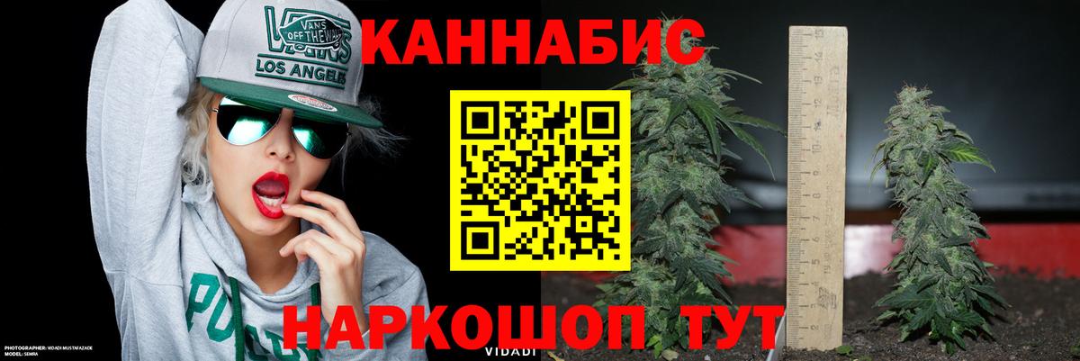 Конопля гибрид Строитель